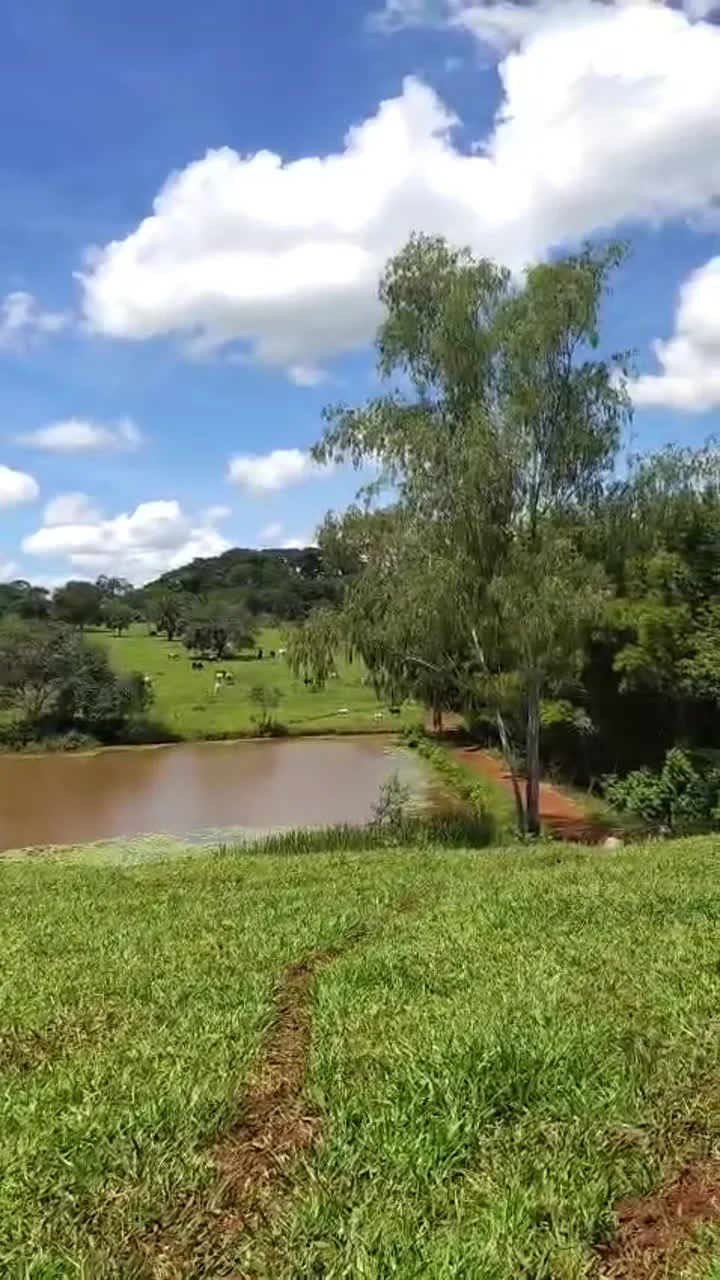 Vista registrada no vídeo de apresentação do imóvel
