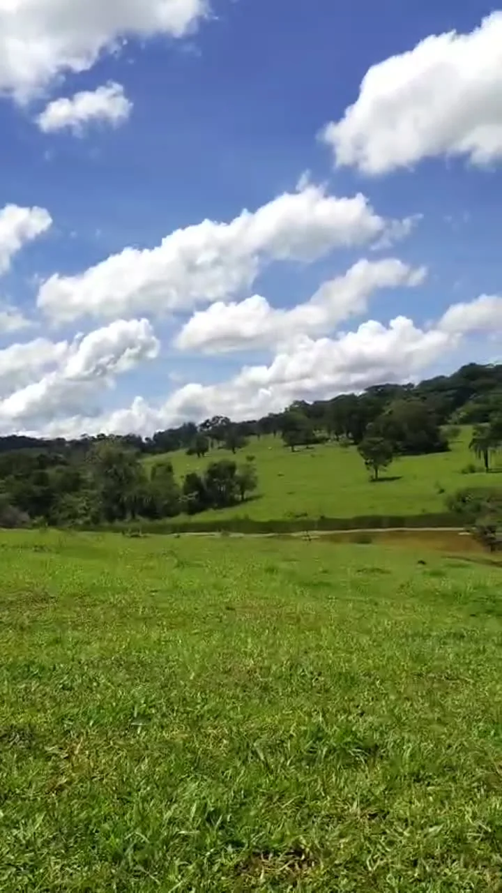 Paisagem da área rural e vegetação em quadro do vídeo