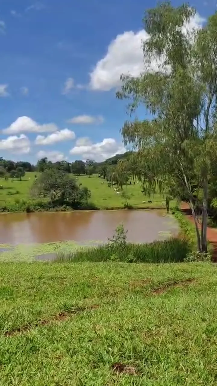 Outro ângulo da propriedade no vídeo recebido