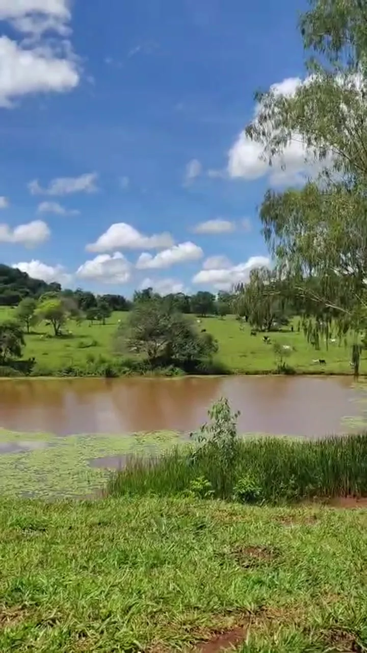 Panorama do campo obtido do vídeo real