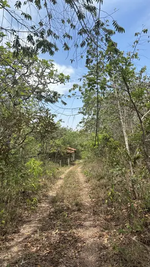 Caminho interno de acesso à construção