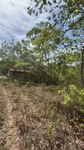 Construção vista entre as árvores