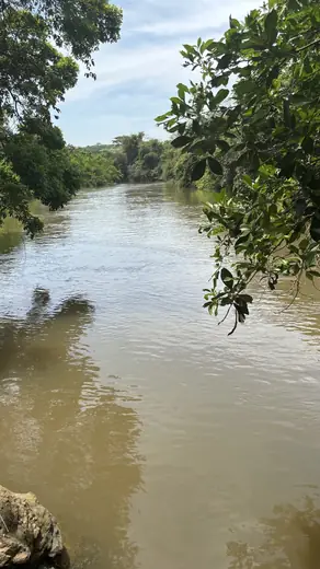 Vista do Rio dos Bois e mata ciliar