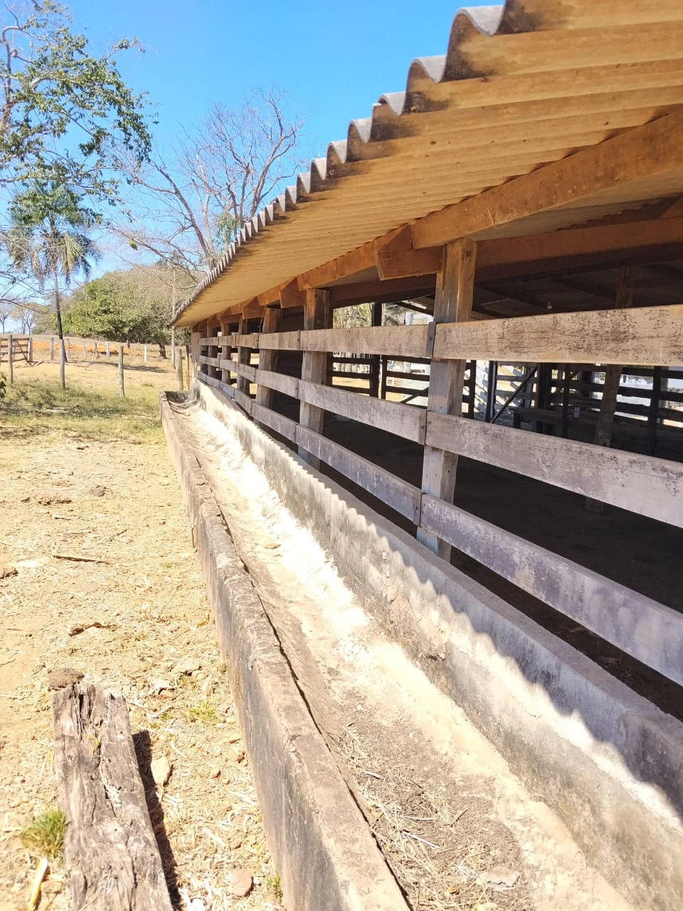 Estrutura coberta de curral/cocheira na fazenda