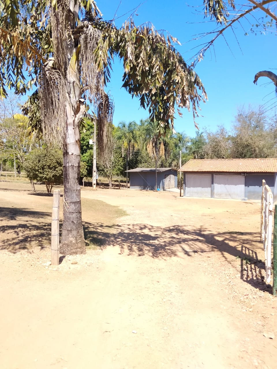 Acesso interno e área das benfeitorias da fazenda