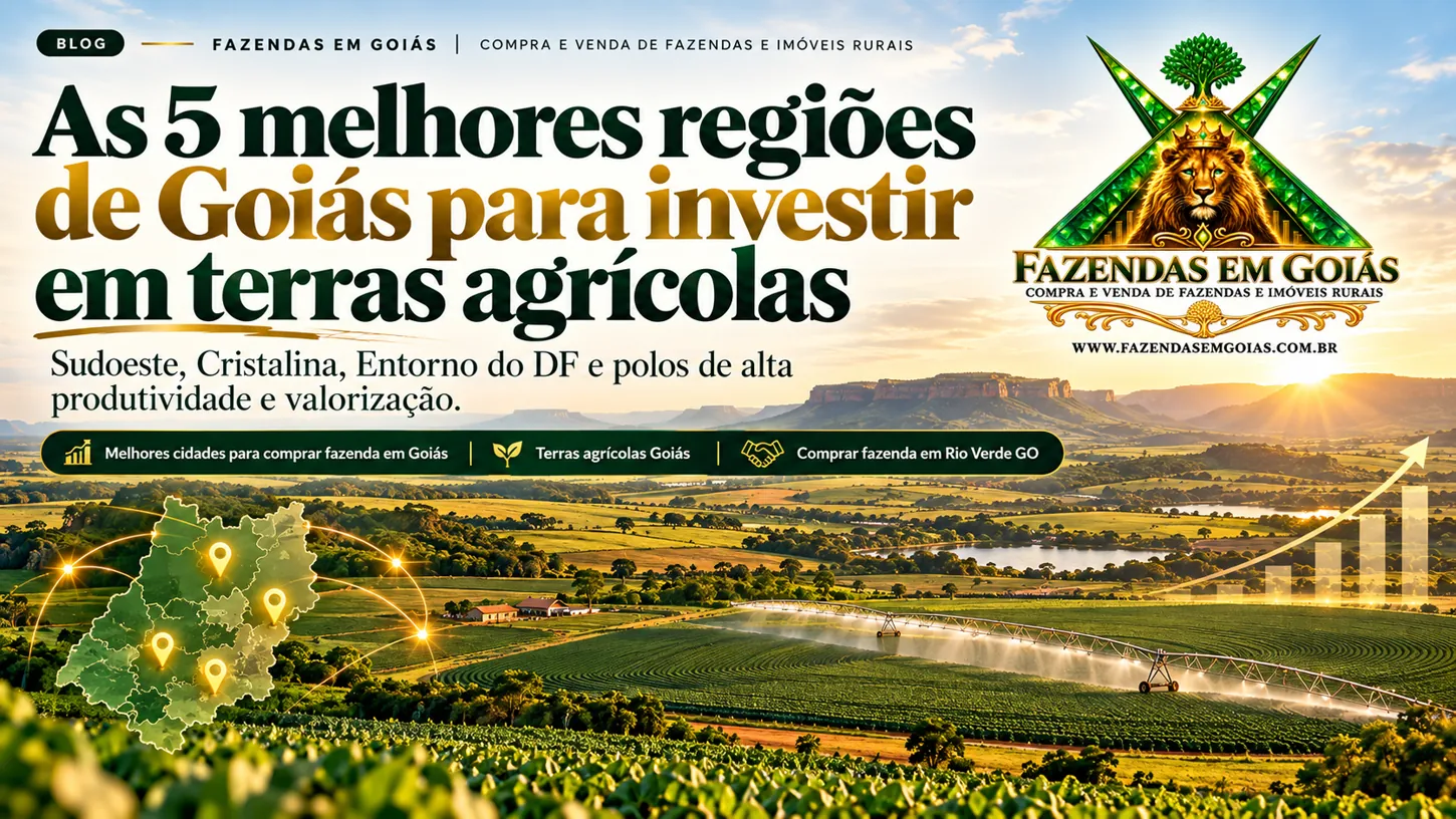 Arte editorial: 5 regiões de Goiás para estudar antes de investir